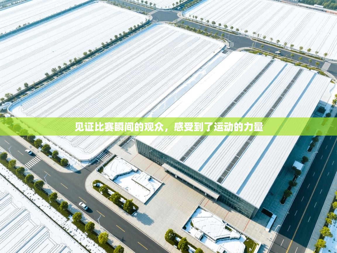 见证比赛瞬间的观众，感受到了运动的力量